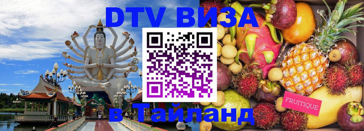 Оформление DTV визы под ключ: стоимость и тарифы, только загранпаспорт - 19.11.2025 